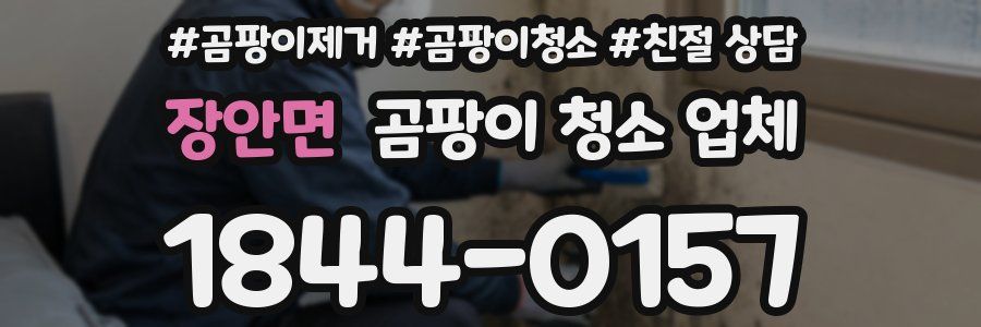 장안면 곰팡이 청소 업체