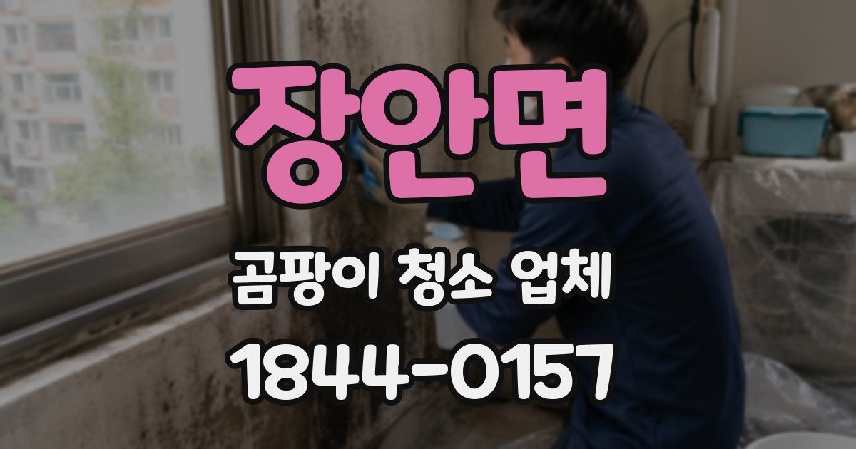 장안면 곰팡이 청소 업체