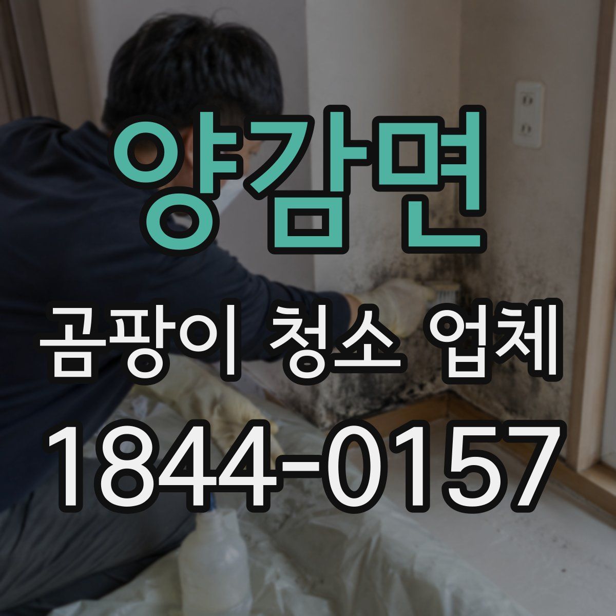 양감면 곰팡이 청소 업체
