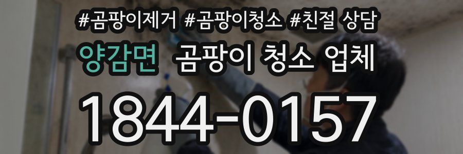 양감면 곰팡이 청소 업체