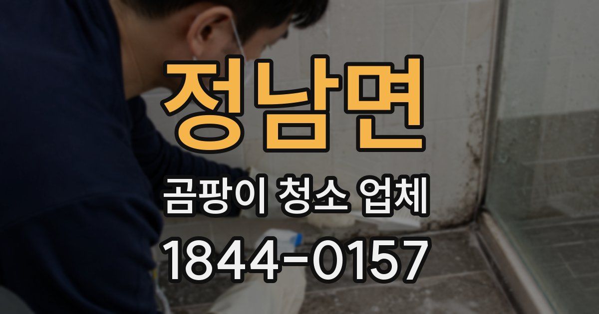 정남면 곰팡이 청소 업체