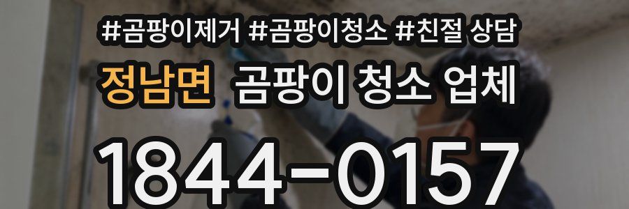 정남면 곰팡이 청소 업체
