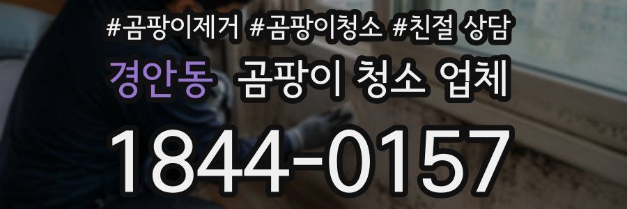 경안동 곰팡이 청소 업체