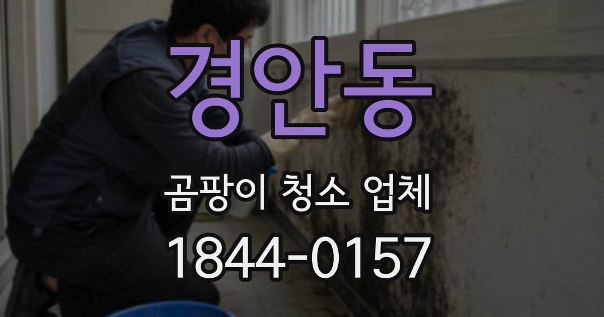 경안동 곰팡이 청소 업체