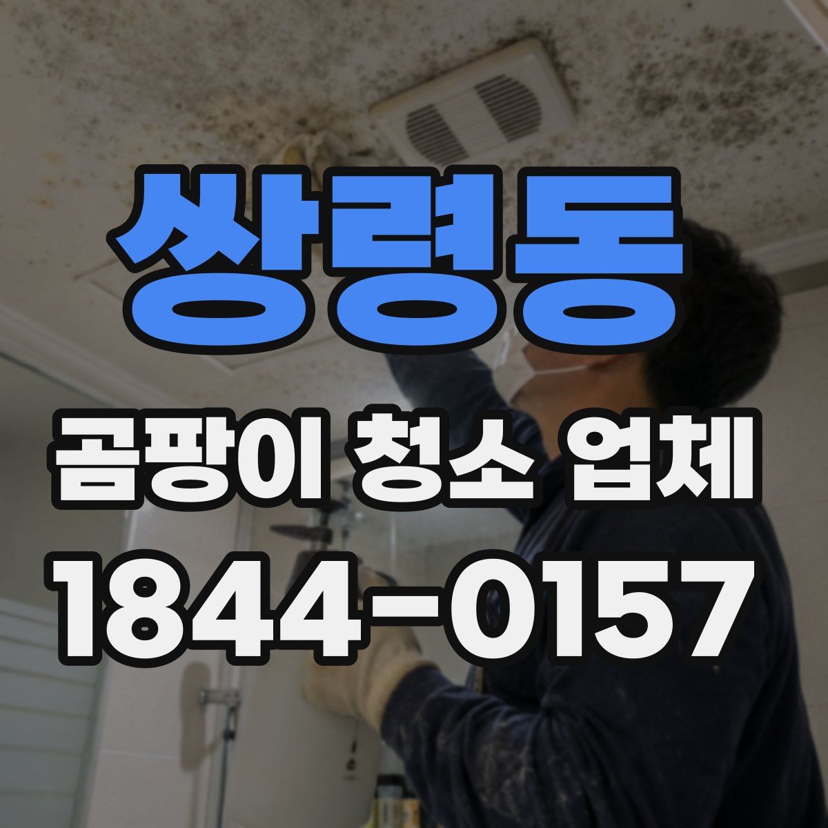 쌍령동 곰팡이 청소 업체