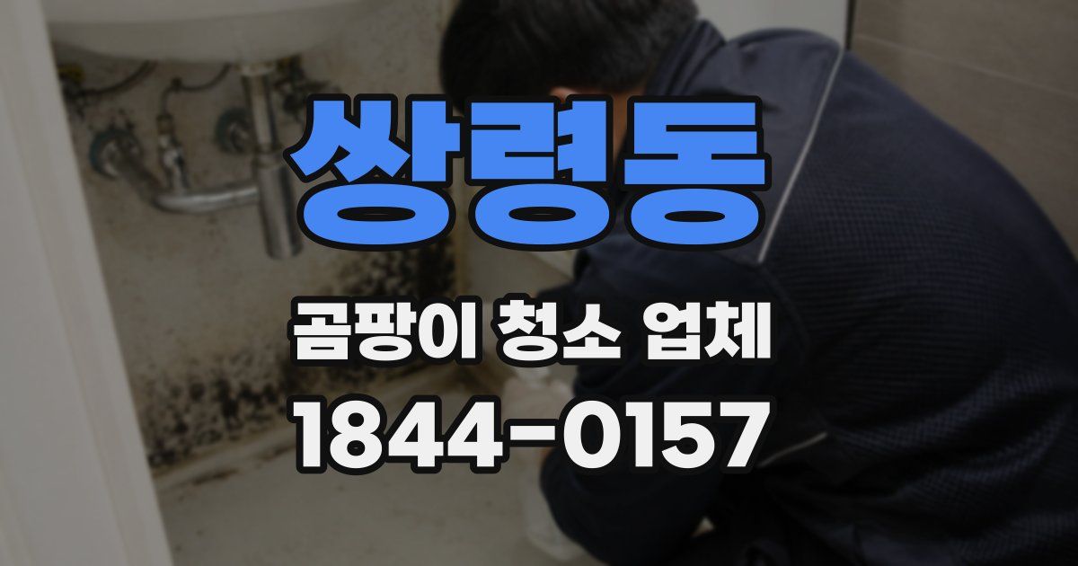 쌍령동 곰팡이 청소 업체