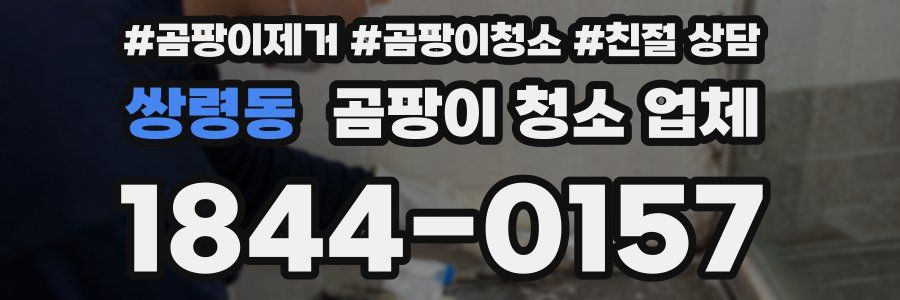 쌍령동 곰팡이 청소 업체