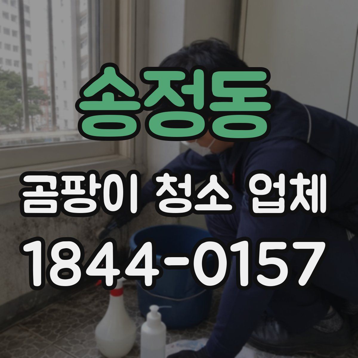 송정동 곰팡이 청소 업체