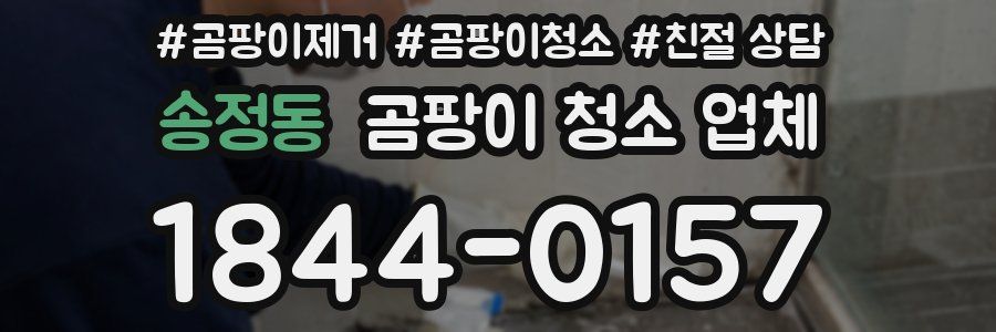 송정동 곰팡이 청소 업체