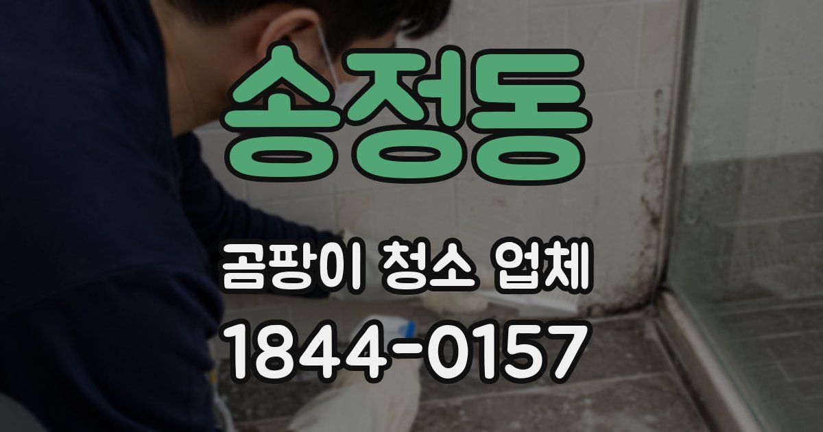 송정동 곰팡이 청소 업체