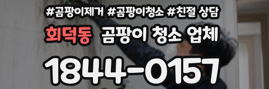 회덕동 곰팡이 청소 업체