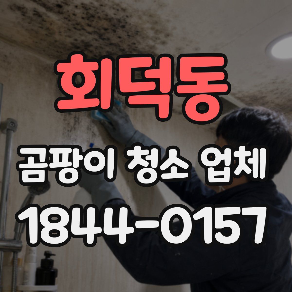 회덕동 곰팡이 청소 업체