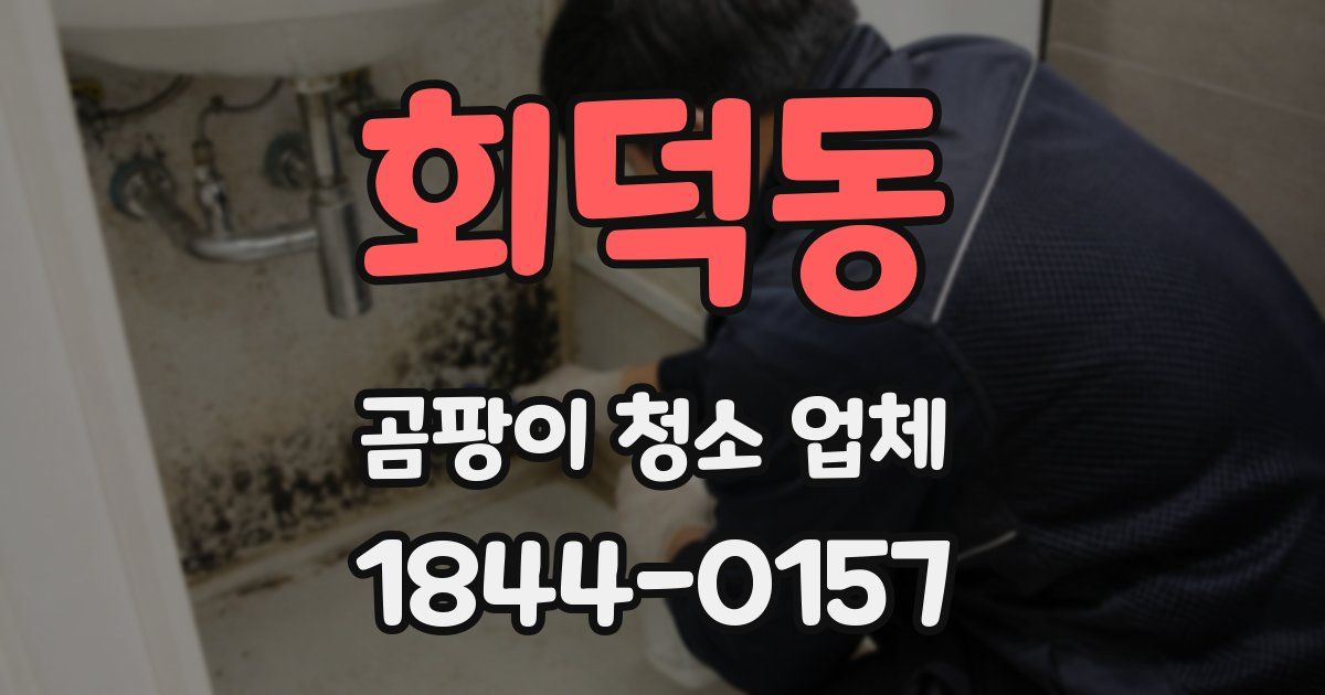 회덕동 곰팡이 청소 업체