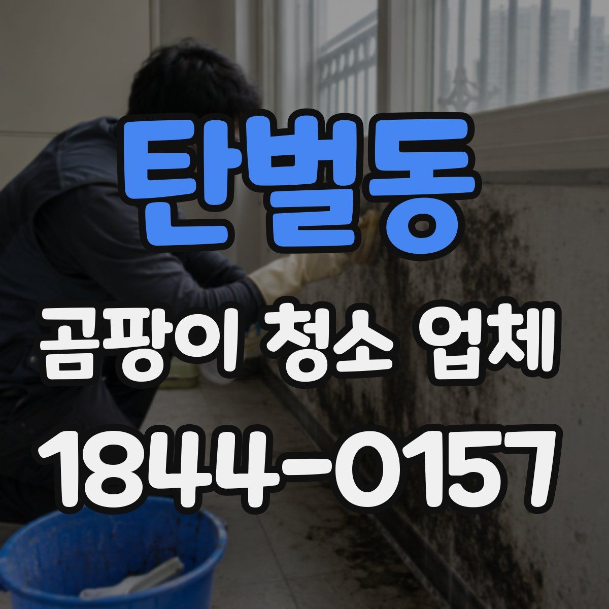 탄벌동 곰팡이 청소 업체