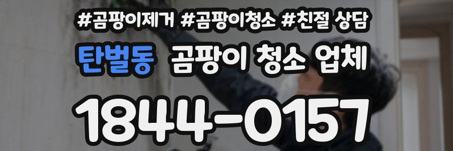 탄벌동 곰팡이 청소 업체