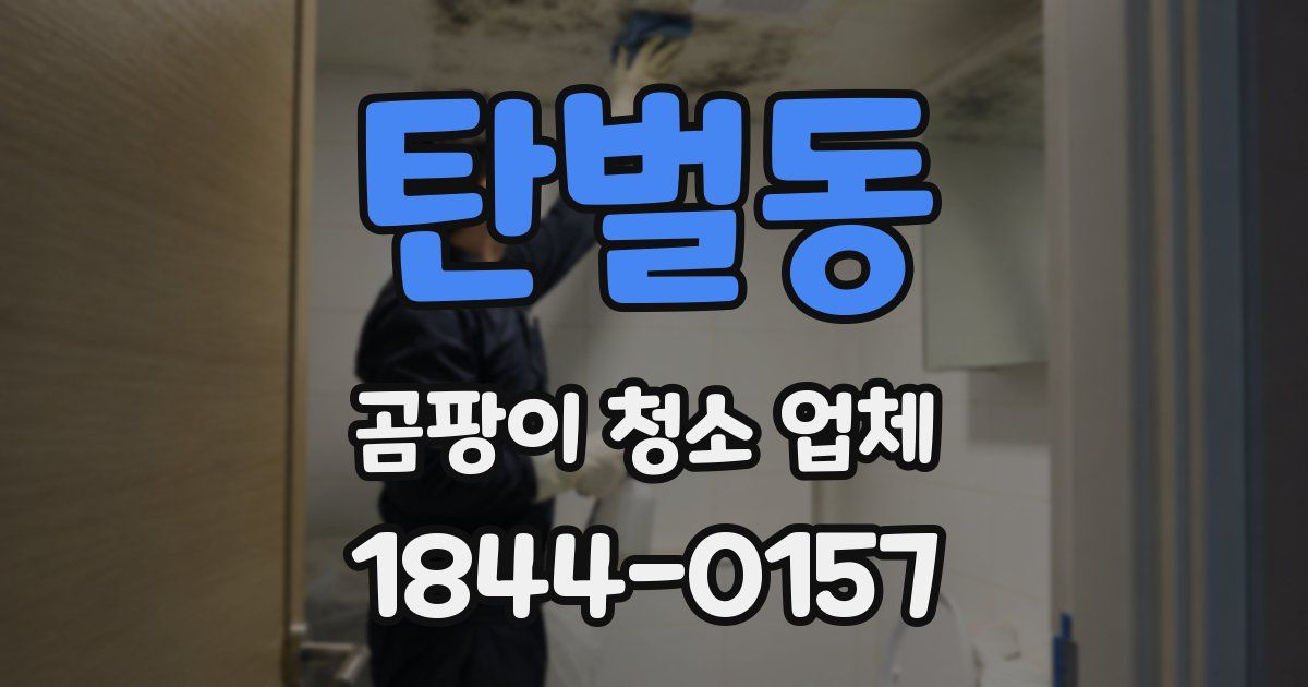 탄벌동 곰팡이 청소 업체