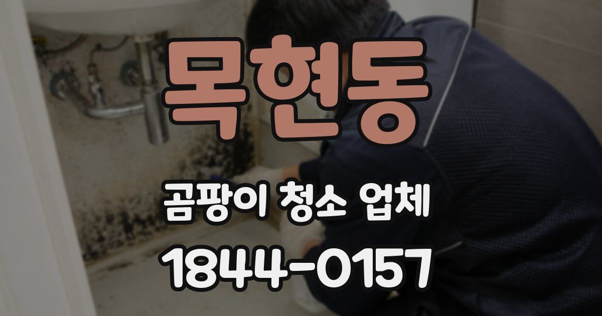 목현동 곰팡이 청소 업체