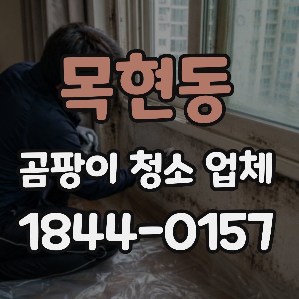 목현동 곰팡이 청소 업체
