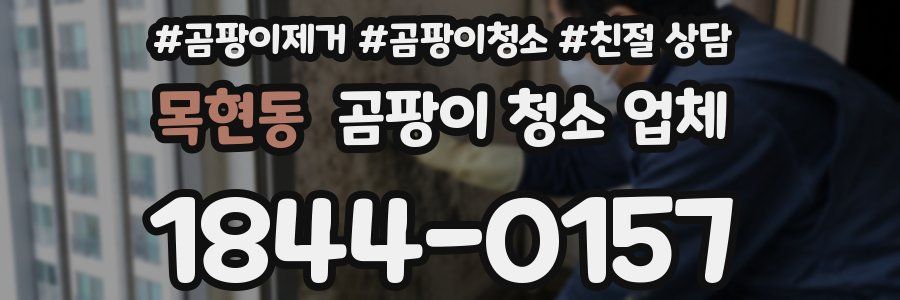 목현동 곰팡이 청소 업체