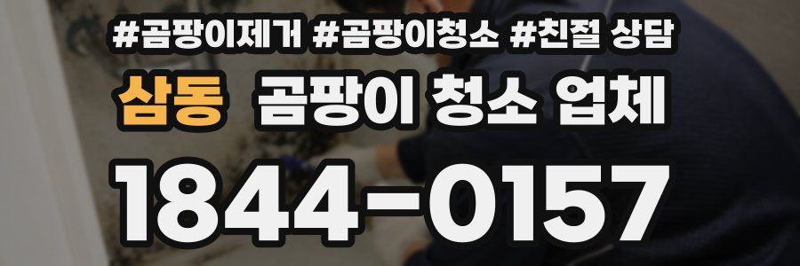 삼동 곰팡이 청소 업체