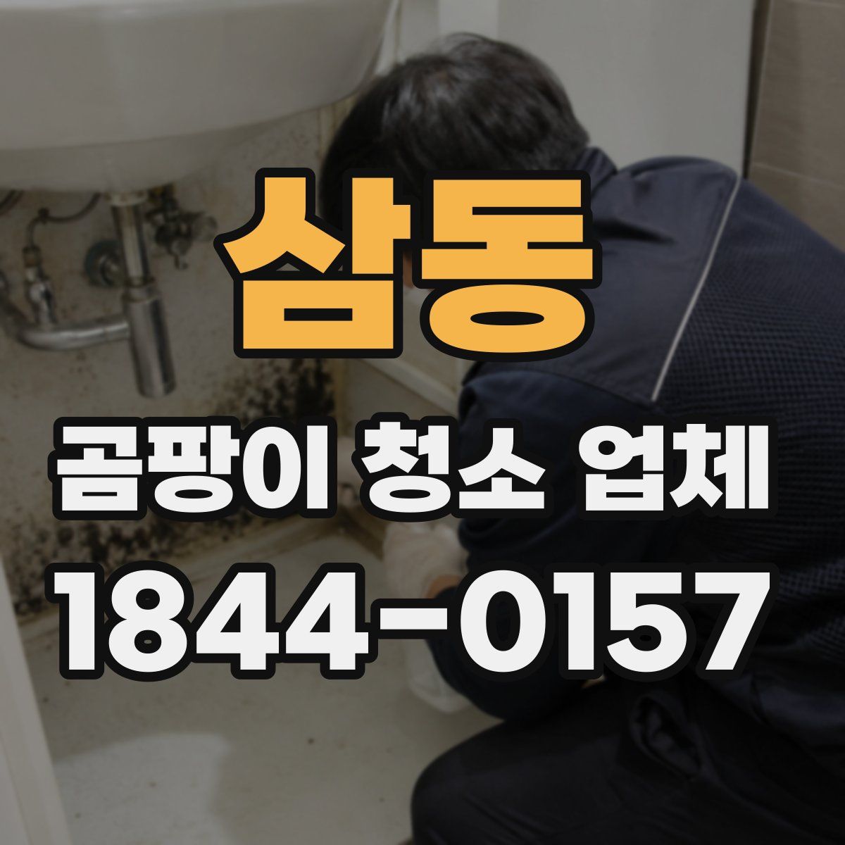 삼동 곰팡이 청소 업체