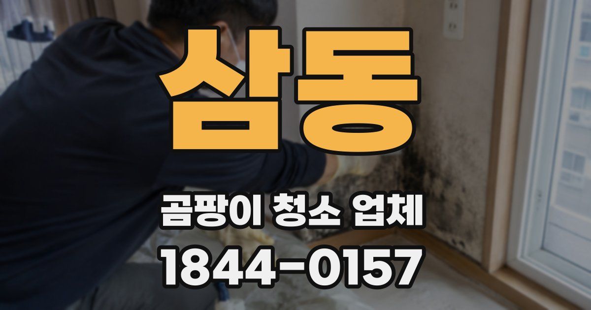 삼동 곰팡이 청소 업체