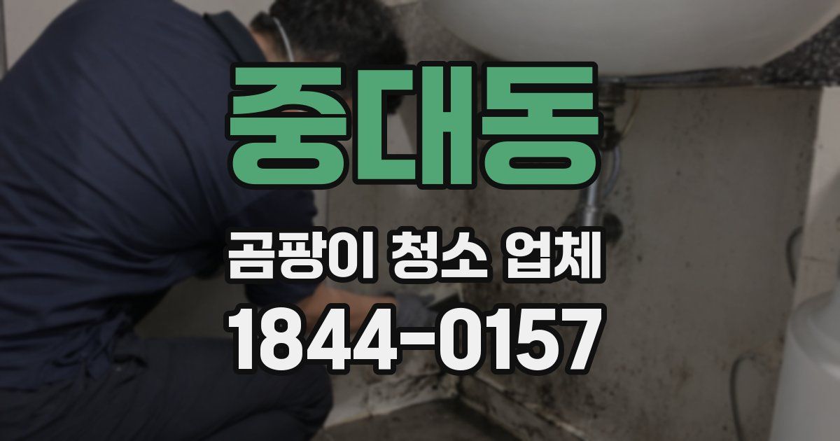 중대동 곰팡이 청소 업체