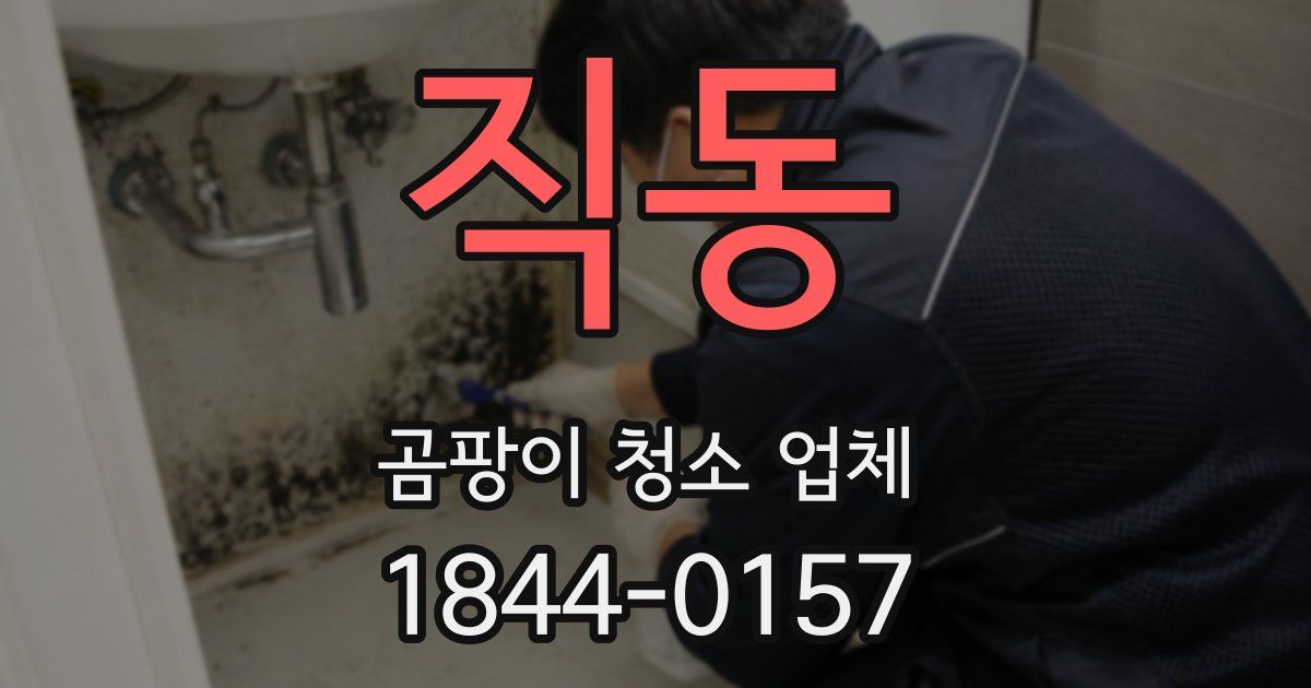 직동 곰팡이 청소 업체