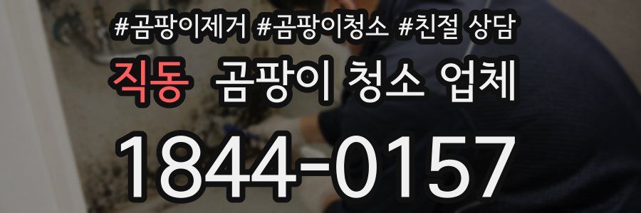 직동 곰팡이 청소 업체