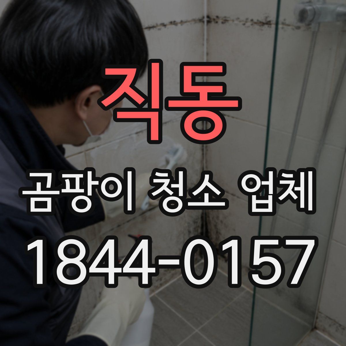 직동 곰팡이 청소 업체