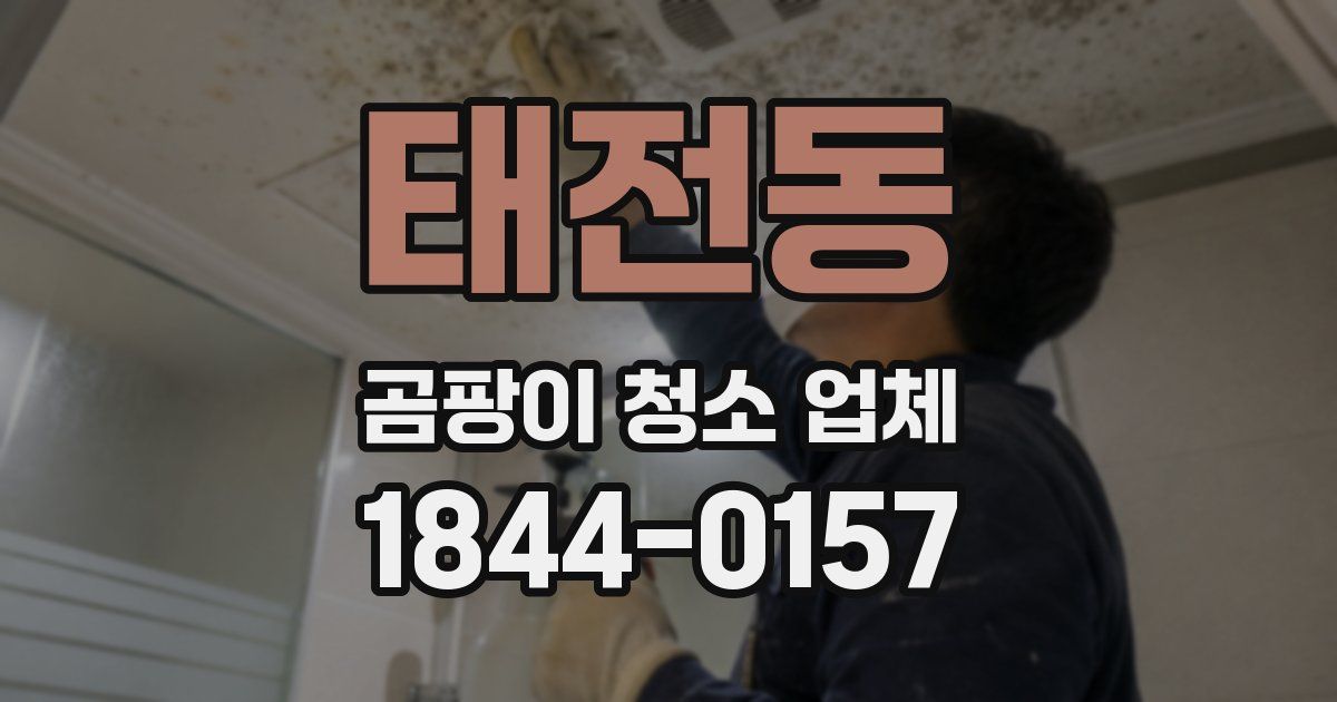 태전동 곰팡이 청소 업체