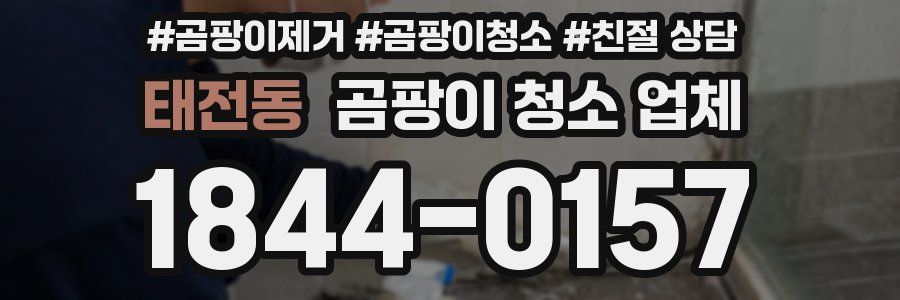 태전동 곰팡이 청소 업체