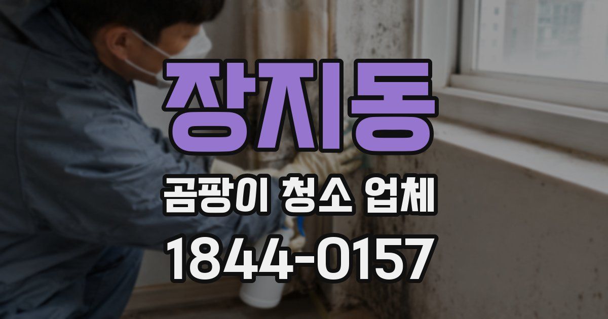 장지동 곰팡이 청소 업체