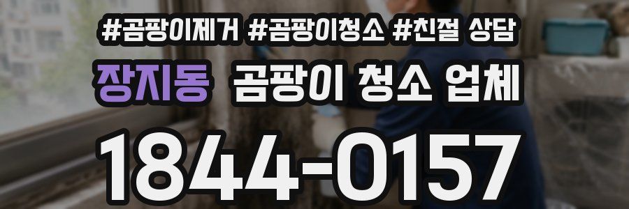 장지동 곰팡이 청소 업체