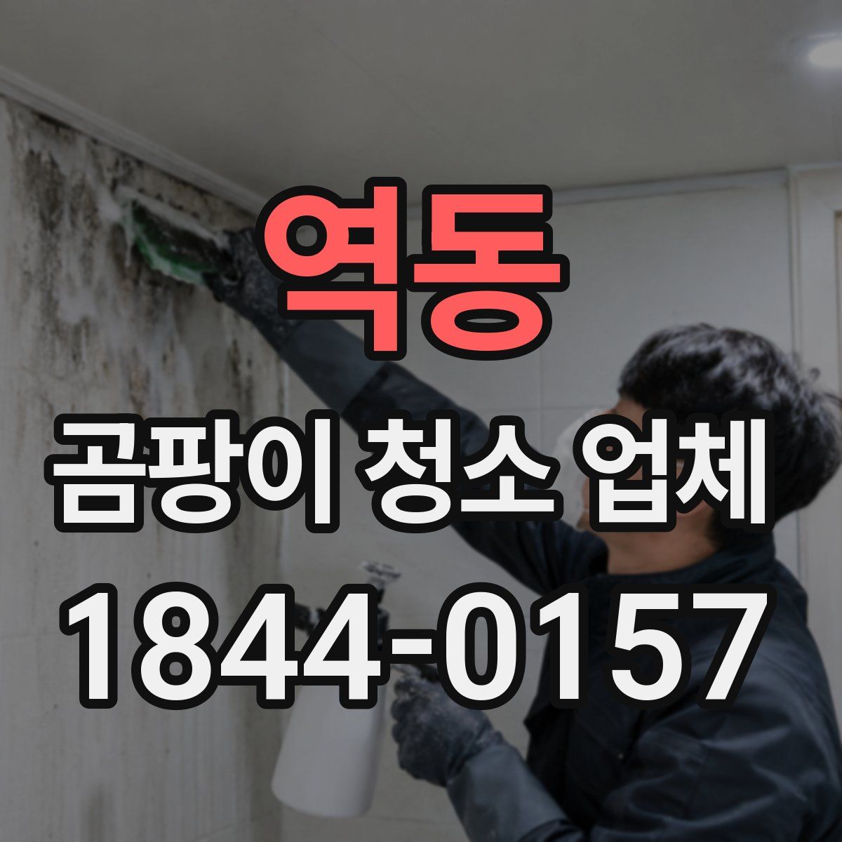역동 곰팡이 청소 업체