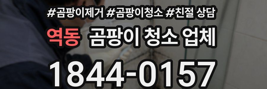 역동 곰팡이 청소 업체