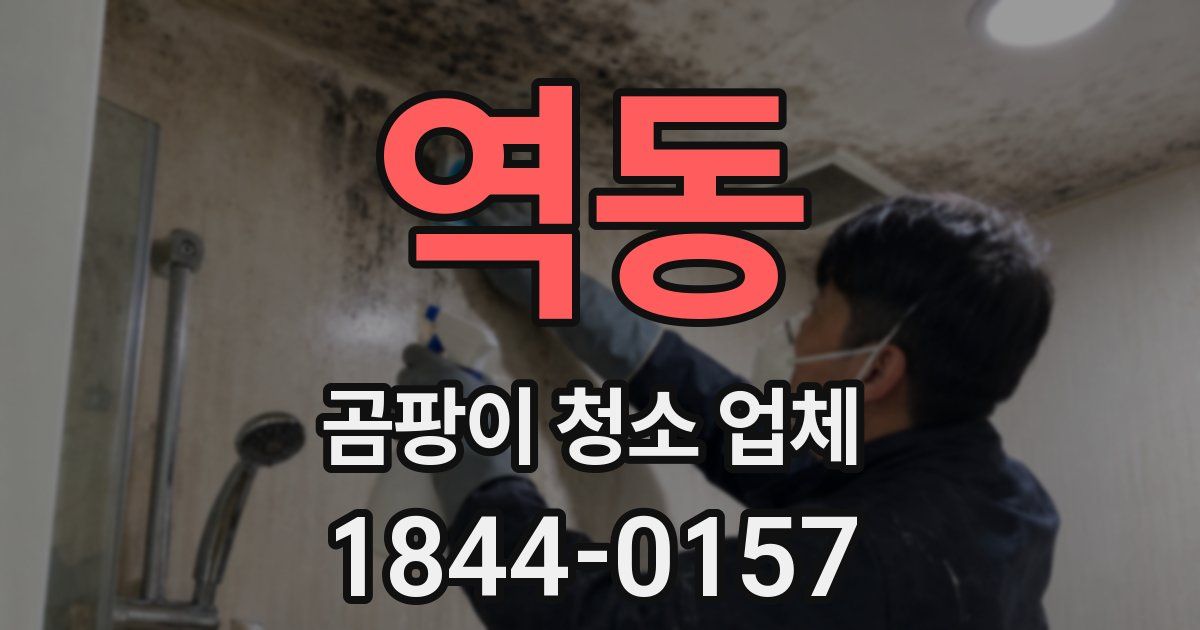 역동 곰팡이 청소 업체