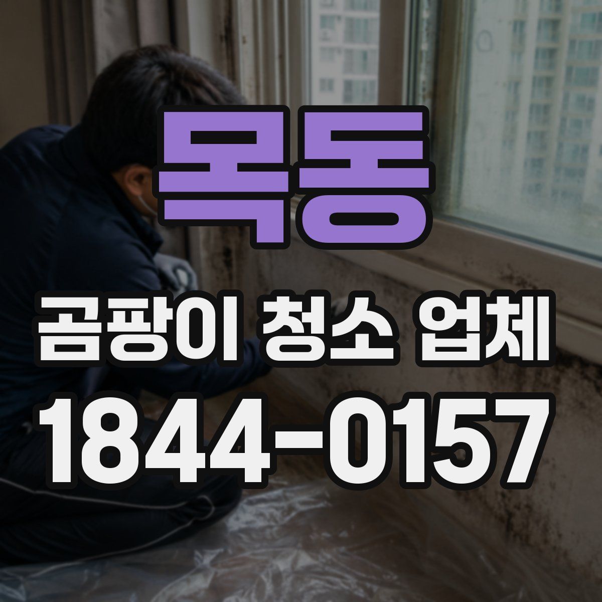목동 곰팡이 청소 업체