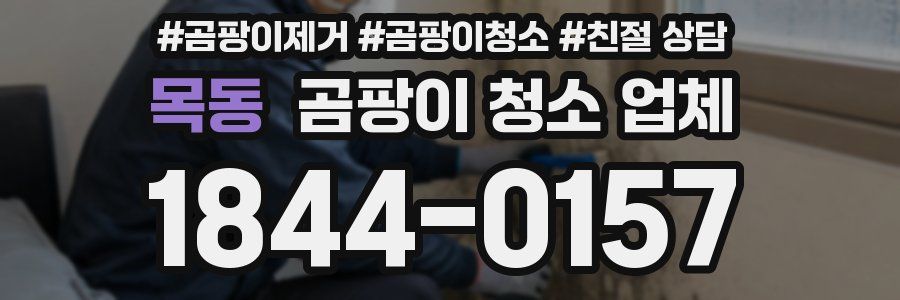 목동 곰팡이 청소 업체