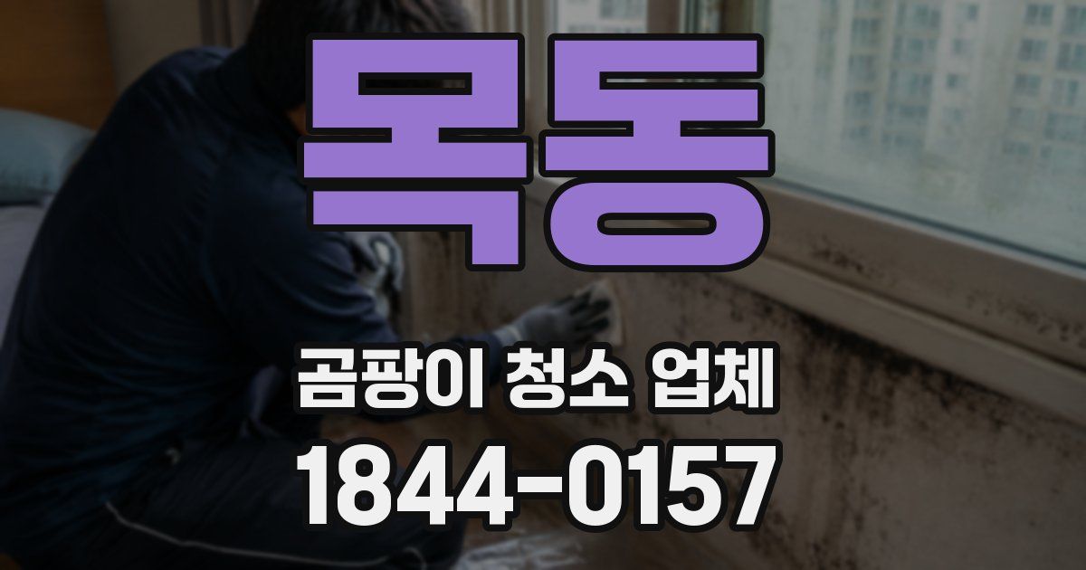목동 곰팡이 청소 업체