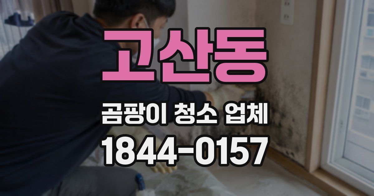 고산동 곰팡이 청소 업체