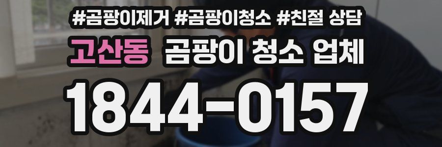 고산동 곰팡이 청소 업체