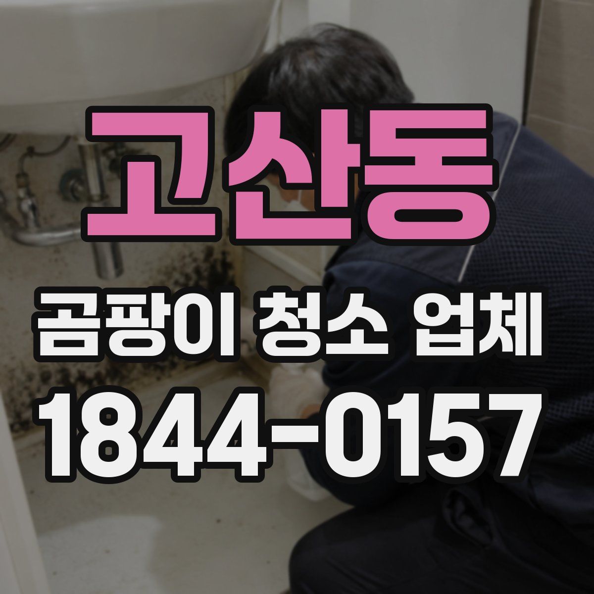 고산동 곰팡이 청소 업체