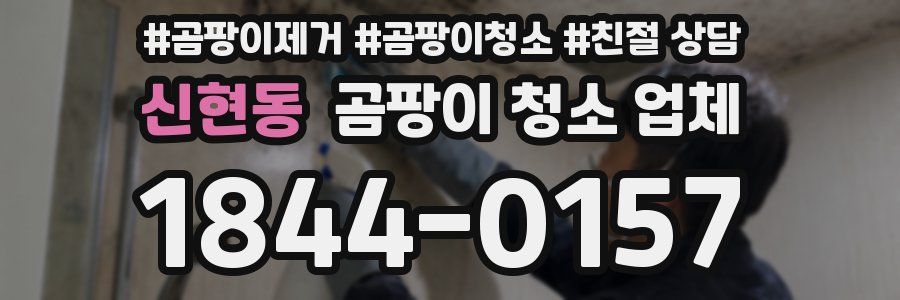신현동 곰팡이 청소 업체