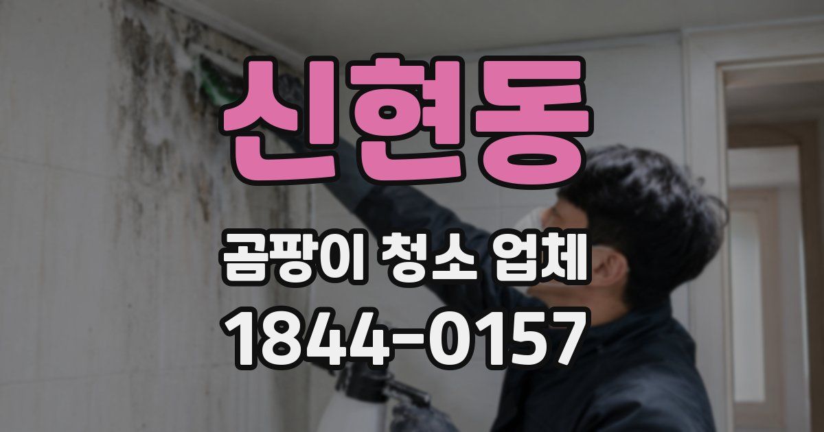 신현동 곰팡이 청소 업체
