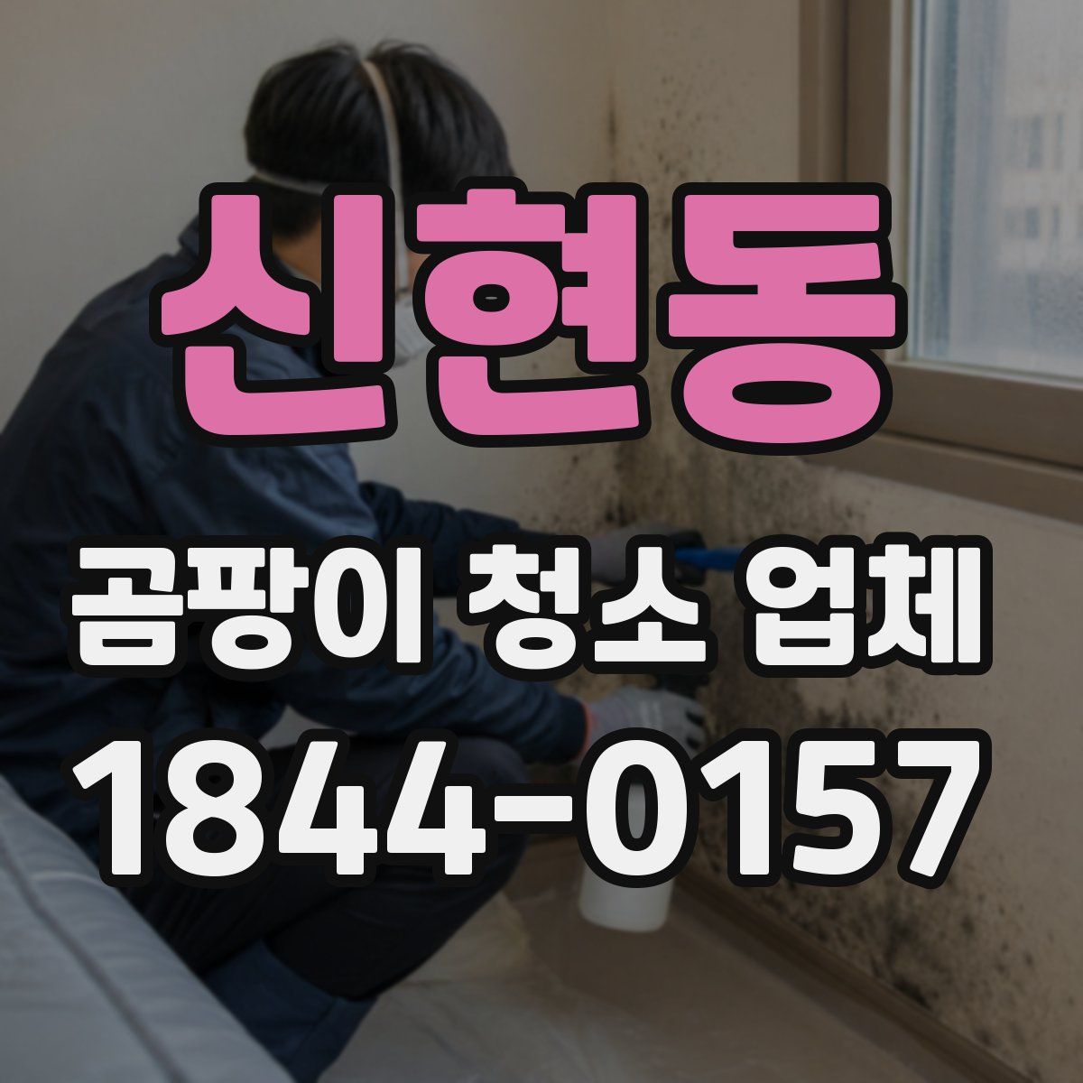 신현동 곰팡이 청소 업체