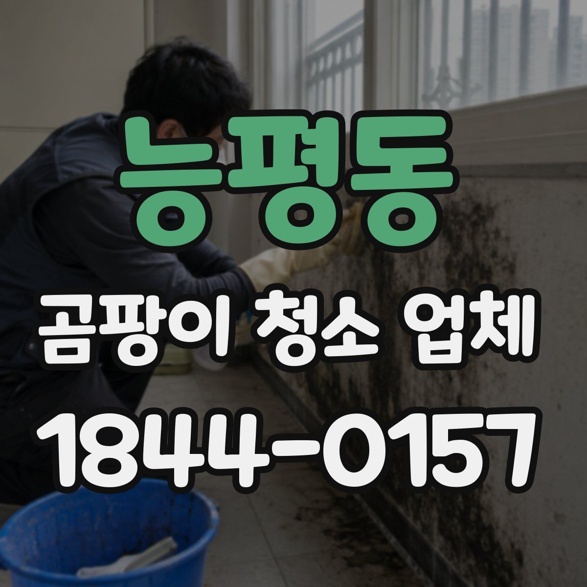 능평동 곰팡이 청소 업체