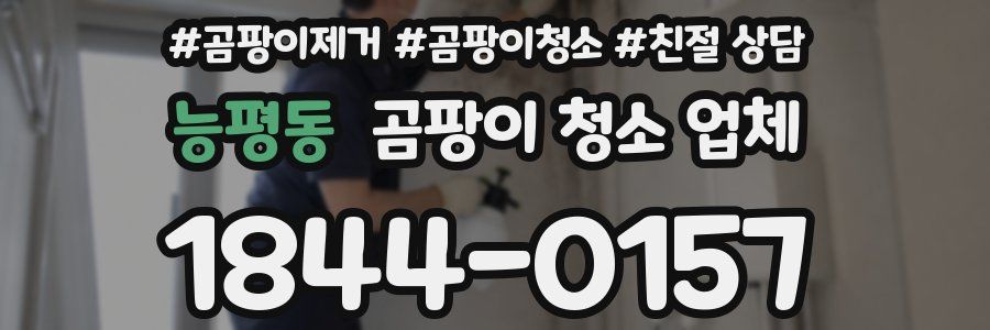 능평동 곰팡이 청소 업체