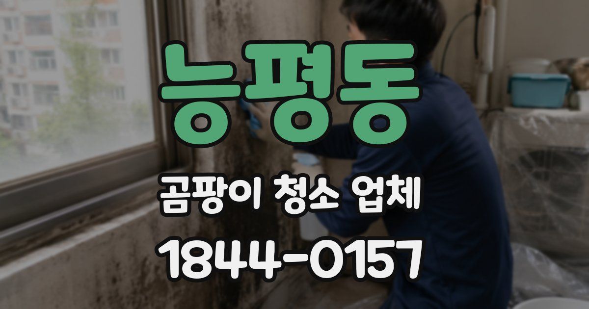 능평동 곰팡이 청소 업체
