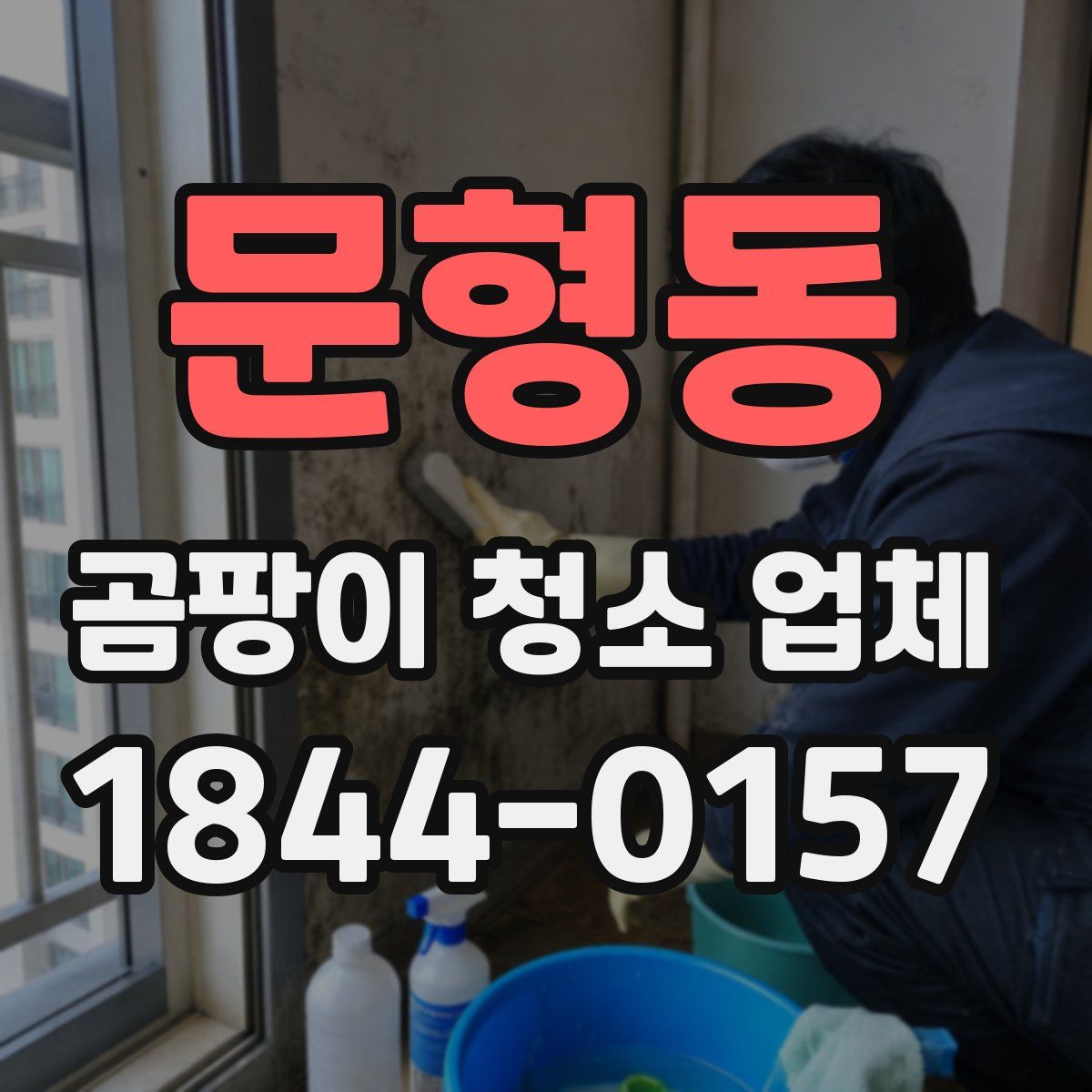 문형동 곰팡이 청소 업체